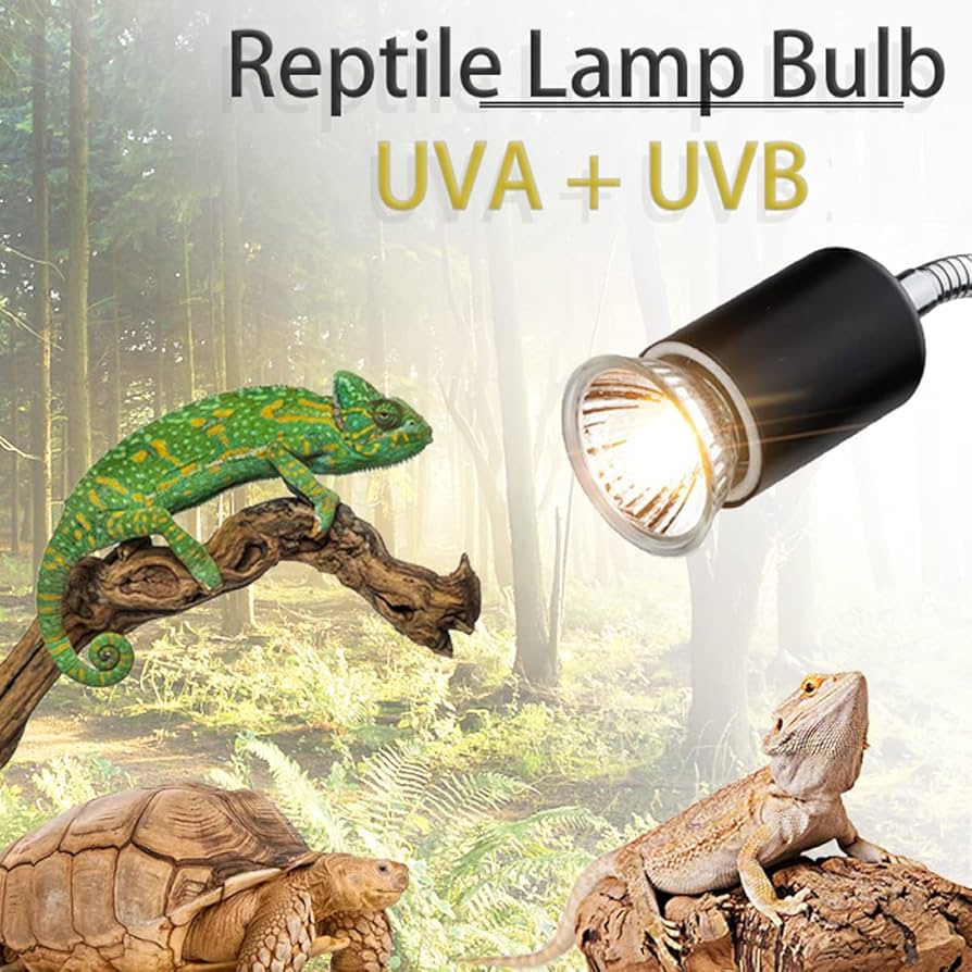 爬虫類ライトセット Amazon.co.jp: ANJOJOA 爬虫類 紫外線ライト LED UVA UVB フック